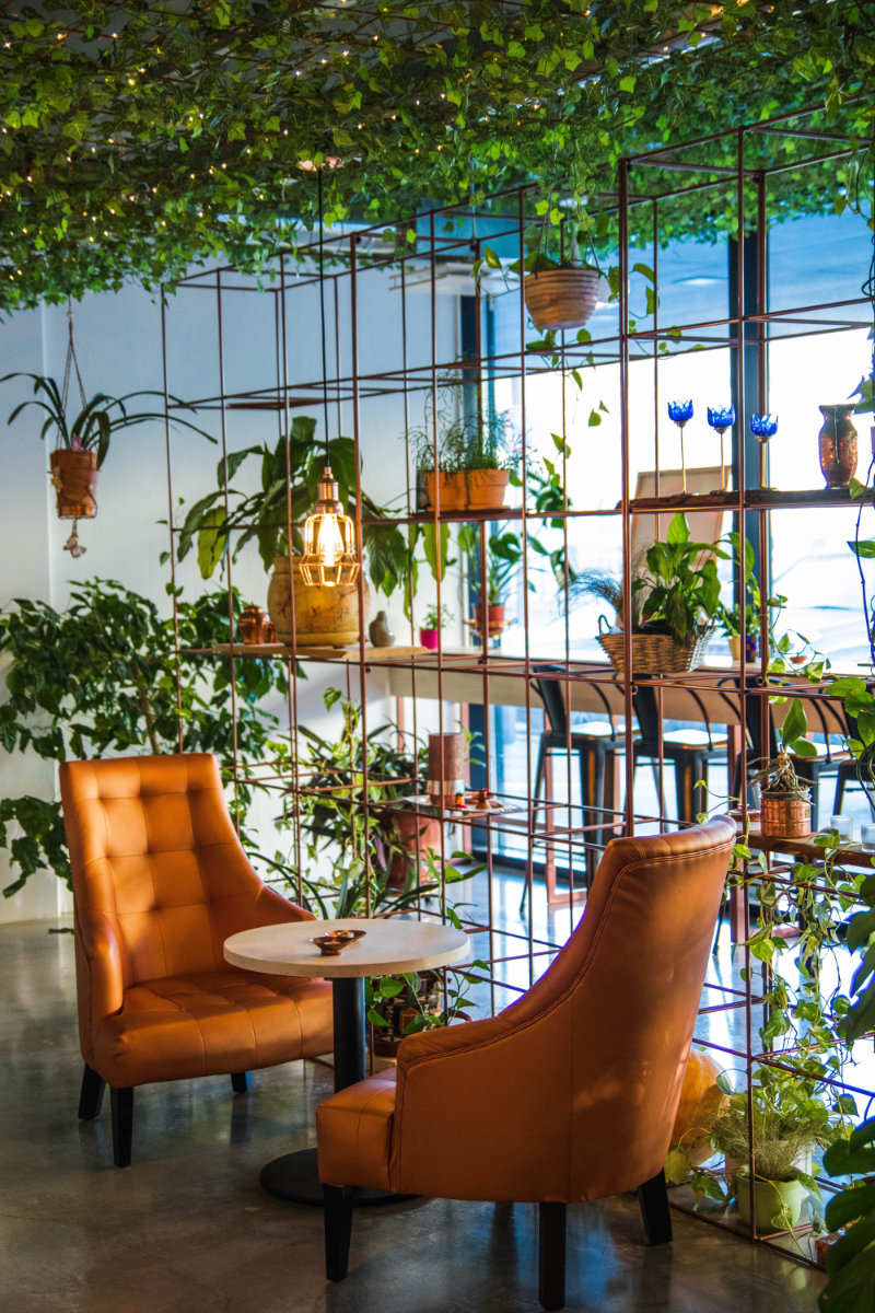 Paisajismo interior